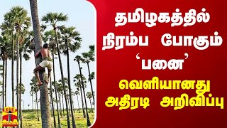 தமிழகத்தில் நிரம்ப போகும் `பனை' - வெளியானது அதிரடி அறிவிப்பு