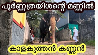 പൂർണ്ണത്രയിശ ശിവേലി എടുത്ത് കാളകുത്തൻ കണ്ണൻ (15/11/24) kalakuthan kannan elephant