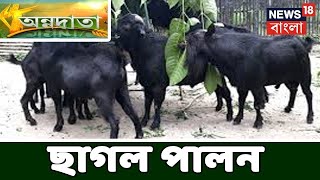 Annadata : লাভজনক ছাগল পালন । আম বাগানের পরিচর্যা | লাভজনক গাঁদাফুল চাষ