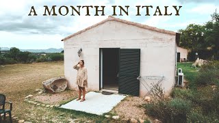 What I think about the USA after a month in Italy 🇮🇹