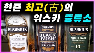 [ 위스키 ] 부쉬밀 싱글몰트 10년 | 세계 최고(古)의 증류소. 아이리시 위스키의 흥망성쇠
