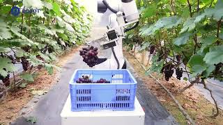 Cobot Helps in Agriculture