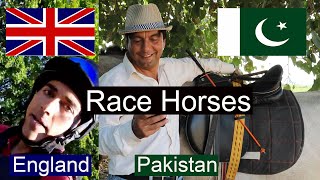 Race Horses England Vs Pakistan