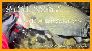 琵琶湖12夜物語 〜 11月 晩秋のポイント