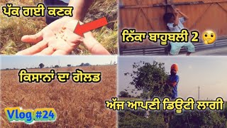 ਕਣਕ ਪੱਕ ਕੇ ਵਾਢੀ ਲਈ ਤਿਆਰ | kanak pakk gayi | Farm visit | Gurwinder Vlog #24 |