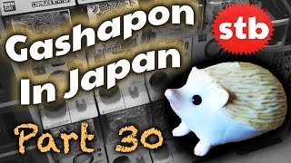 Japan Life: Kawaii Rodent Gashapon with SoloTravelBlog【STB Gacha Part 30】