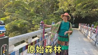 带老妈去西双版纳的原始森林公园，走栈道买衣服，今天又玩好了！【大海去旅行】