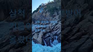 삼척낚시 2022 10 12