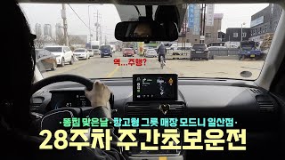 초보운전｜캐스퍼｜그릇 사러 가는 멀고 험난한 길, 근데 이제 지갑 안 갖고 간 사람의 브이로그