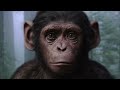 The 4 Ways Apes Evolved In The Planet Of The Apes Prequels