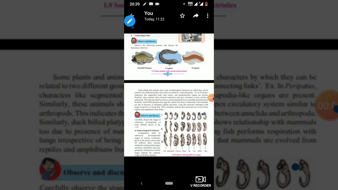 Connecting Links Evidences Of Evolution Youtube