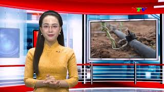 Tạp chí Dân tộc và miền núi - 15/01/2025 | NTV