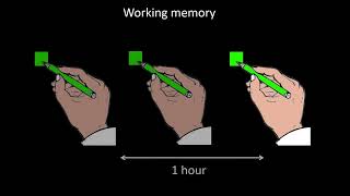 Memory classification