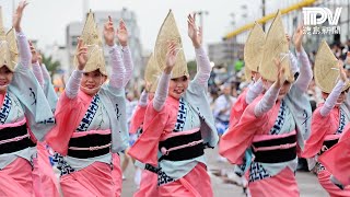 阿波踊り2023 総集編 Awaodori Festival in Tokushima, Japan