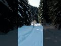 getting lost in woods racha georgia deep snow insane nature offroading overlanding