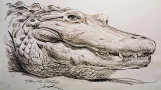 【土人教画】20 素描 -鳄鱼 terrain art class sketching-crocodile