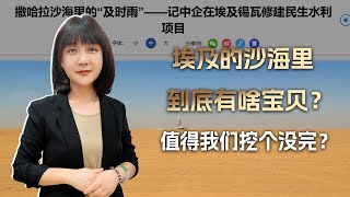 西方几百年没找到，传说中的法老宝藏，怎么就让我们给挖出来了？