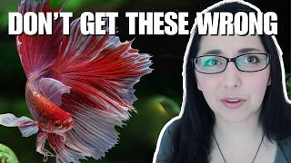 5 Betta Fish Behaviors You Should NEVER Ignore😱