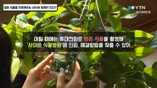 병든 식물을 치료해주는 사이버 병원이 있다? / YTN 사이언스