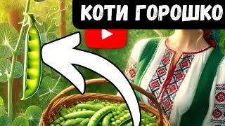 Секрети Вирощування Гороху: Як Отримати Смачний Урожай 🌱🍃