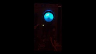 Mutable Warps X Sheep Hypnotoad