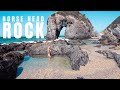 EXPLORING HORSE HEAD ROCK 🐴 Plus yoga, ice baths and freediving at Maloneys Bay