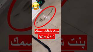 استيقظت من النوم ووجدت هذا المنظر داخل بيتها وهذا اللي صار😂 #shorts #shortvideo #shortsviral