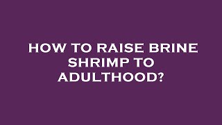 How to raise brine shrimp to adulthood?