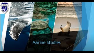 Marine Studies