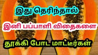 இது தெரிந்தால் இனி பப்பாளி விதைகளை தூக்கி போட மாட்டீர்கள் | Tamil Health Tips