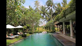 Sally 10bed villa complex #cangguvillas #baliaccommodation #balivillas #familyvilla #luxuryvilla