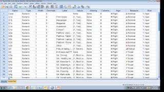 SPSS: Codebook