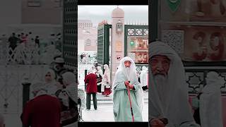 Old Man In Madina| Viral Video  of  old man in Saudia Arabia #viral #trending #ytshort #shorts