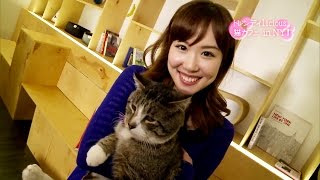 Inside NYC's First Cat Cafe! ニューヨーク初の「猫カフェ」！ (English subs)