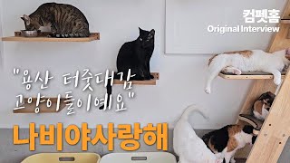 용산 터줏대감 고양이들이예요, 나비야사랑해 | 컴펫홈인터뷰 EP.05