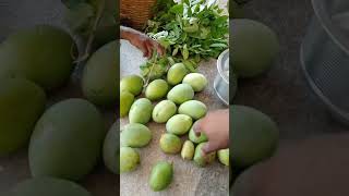 🥭 இப்படி எல்லாம் பழுக்க வைக்கலாமா 😱#viral #viralvideo #love #agriculture #plant #shortsvideo #shorts