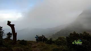 Agasthyarkoodam  Beauty of Agasthyamala