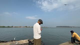 PONNAI HARBOUR | ambience video | THURAMUKHAM