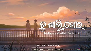 Tu Khali Mora Bidhata Gadhi Deichii - [ Slowed+Reverb ] Odia Lo-Fi Song ll Humane Sagar ll