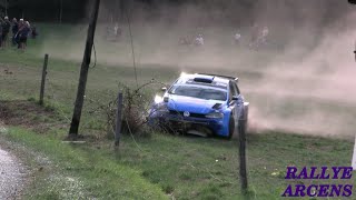 BEST OF RALLYE 2023 - Crash, Mistakes & Show