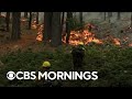 Wildfires in Yosemite threaten ancient sequoia trees