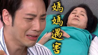 炮仔聲│EP376預告 ㄟ寇慘遭刺殺 俊男病房內痛哭 The Sound Of Happiness│ Vidol.tv