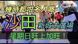 幾時都咁多人嘅沙田新城市廣場，星期日就更加旺上加旺！[09022025#街拍