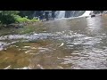 blappila waterfalls chengara pathanamthitta kerala nature beauty short video