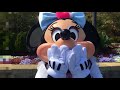 ミニーと365日連続グリーティング298日目〜お前の顔覚えたぞ〜 my disney tour day 298 i meet minnie mouse