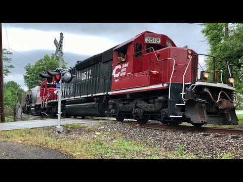 Un ciervo salta frente a un tren de roca que toma una curva cerrada en un cruce de ferrocarril, ¡ingeniero amigable!