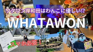 This is an introduction to WHATAWON, a complex that was built in Kishiwada City, Osaka