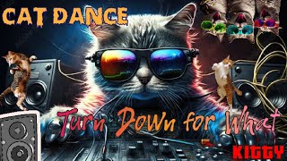 DJ Snake, Lil Jon - Turn Down for What CAT'S VERSION | Dj Cat #catdance #djcat #catmusic