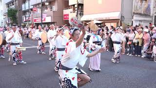 天水連関東支部  第45回 小金井阿波おどり 小金井街道北会場 演舞