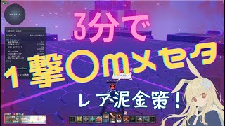 【PSO2NGS】誰もやってない！？ ジオメトRank.1 レアドロ堀り！【金策】